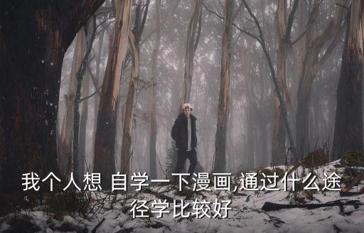 我個人想 自學一下漫畫,通過什么途徑學比較好