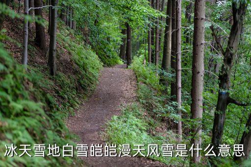 冰天雪地意思，冰天雪地白雪皚皚漫天風雪是什么意思