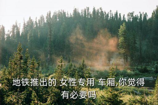 女性車廂,女性車廂不宜設在高速公路車道口