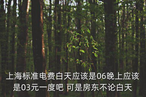 上海標準電費白天應該是06晚上應該是03元一度吧 可是房東不論白天