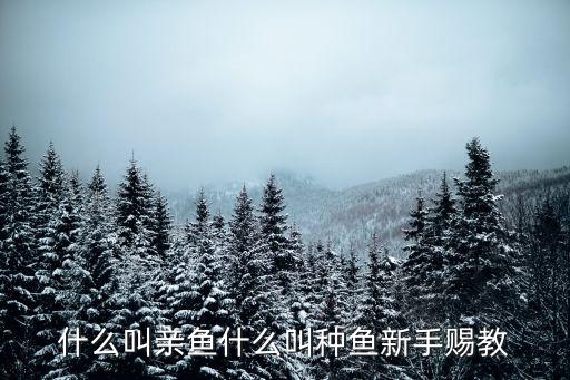 親魚，親魚怎么做法才能好吃