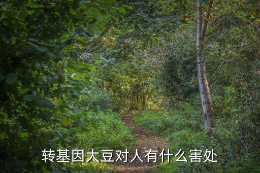 轉基因大豆對人的危害，轉基因大豆對人有什么害處