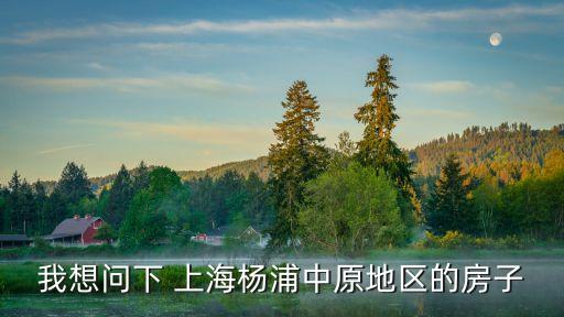 我想問下 上海楊浦中原地區的房子