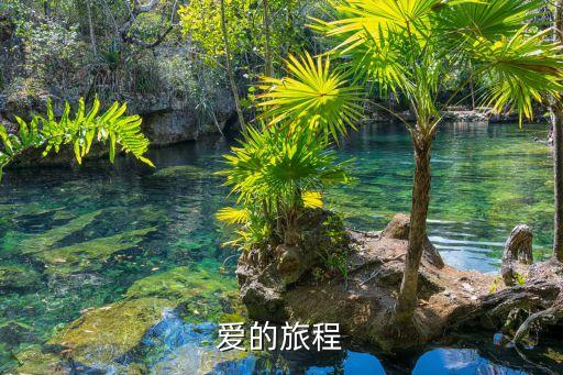 愛的旅程，愛的旅程 閱讀答案