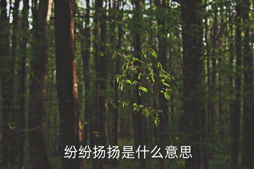  紛紛揚揚是什么意思