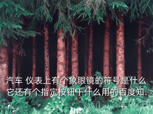 汽車 儀表上有個象眼鏡的符號是什么它還有個指定按鈕干什么用的百度知...