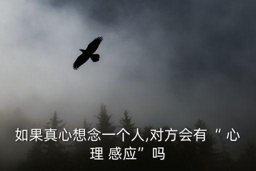 心理感應,雙胞胎心靈實驗感應:不說話時也能思考事情