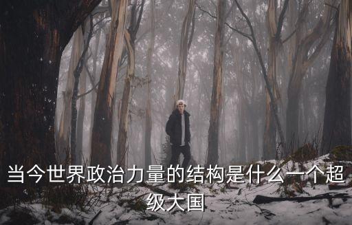 政治力量，在政治多極化中有哪些重要的政治經濟力量