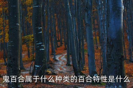 鬼百合屬于什么種類的百合特性是什么