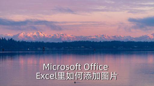 excel表格怎么插入圖片，Excel如何插入相片