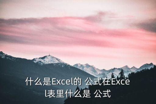 什么是Excel的 公式在Excel表里什么是 公式