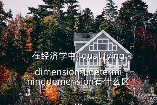 在經濟學中, qualifyingdimension和determiningdemension有什么區...