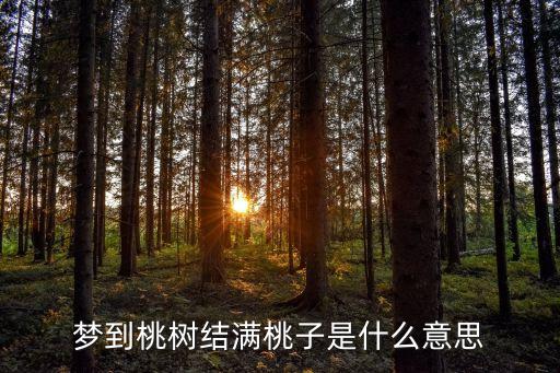 夢見桃樹結(jié)滿桃子，夢到桃樹結(jié)滿桃子是什么意思