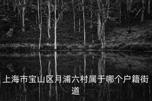 上海市寶山區月浦六村屬于哪個戶籍街道