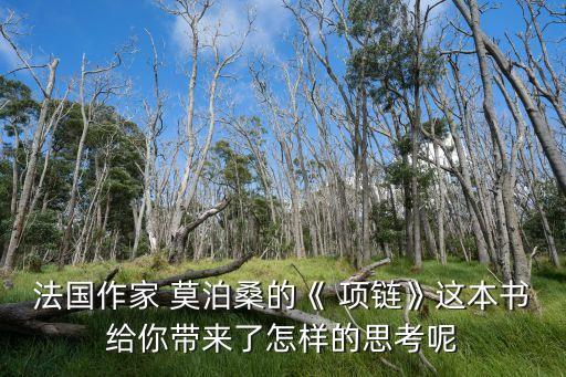 法國作家 莫泊桑的《 項鏈》這本書給你帶來了怎樣的思考呢