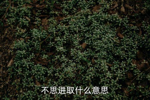不思進取，不思進取什么意思