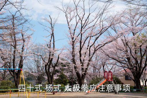 四十式楊式太極拳,練太極拳注意事項(xiàng)