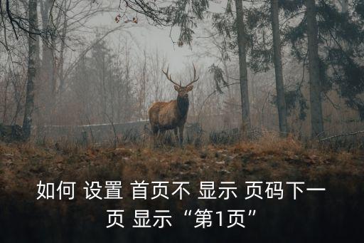 首頁不顯示頁碼怎么設置,怎么才能在瀏覽首頁顯示第一頁?