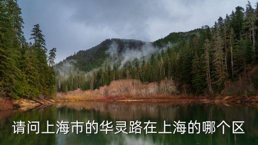 請問上海市的華靈路在上海的哪個區