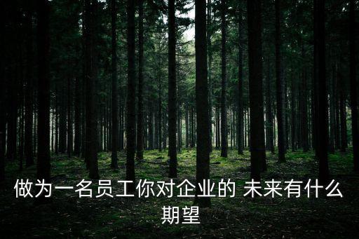 做為一名員工你對企業的 未來有什么 期望