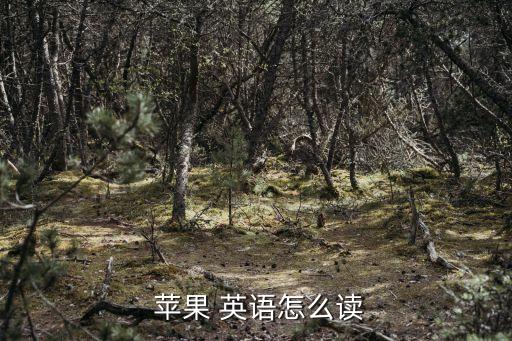 蘋果英語怎么讀,如何閱讀蘋果(英美)