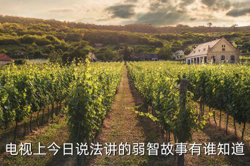 電視上今日說(shuō)法講的弱智故事有誰(shuí)知道