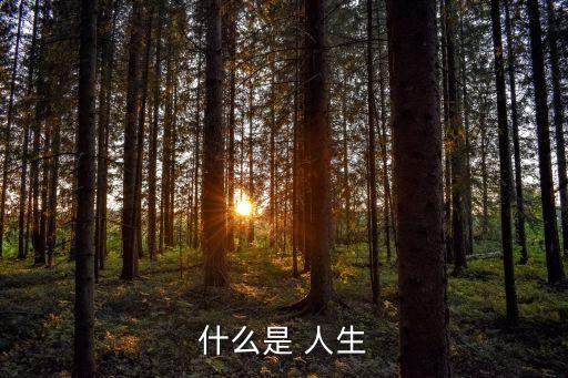 人生是什么,以科學態度對待人生以務實精神創造人生