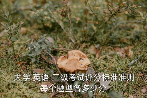 大學英語三級真題,大學英語三級考試難度高于b級