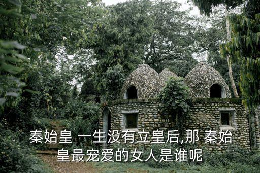  秦始皇 一生沒有立皇后,那 秦始皇最寵愛的女人是誰呢