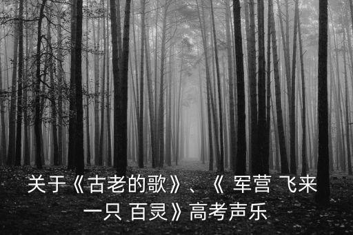 關于《古老的歌》、《 軍營 飛來 一只 百靈》高考聲樂