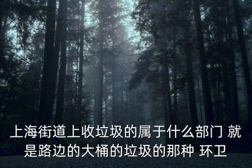 上海街道上收垃圾的屬于什么部門 就是路邊的大桶的垃圾的那種 環衛