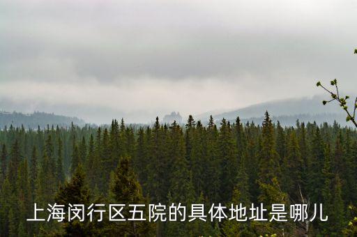 上海市閔行區五院皮膚科幾樓，閔行區第五人民醫院地址