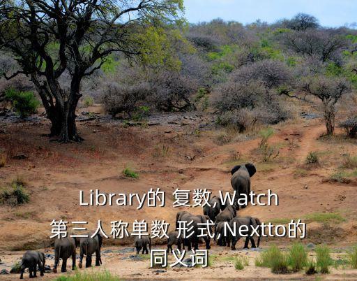 Library的 復數,Watch第三人稱單數 形式,Nextto的同義詞