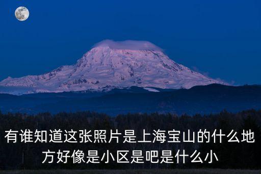 有誰知道這張照片是上海寶山的什么地方好像是小區是吧是什么小