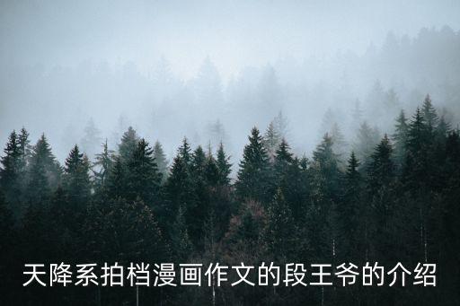 天降系拍檔，天降系拍檔漫畫作文的段王爺的介紹