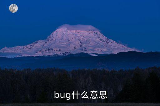 bug是什么意思,手機(jī)出現(xiàn)莫名其妙警告說明系統(tǒng)崩潰