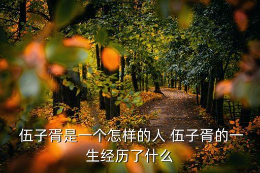 伍子胥的故事,挖墳驗(yàn)尸故事講述吳子胥如何成為一代名人