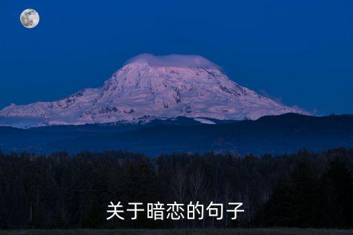 關于暗戀的句子
