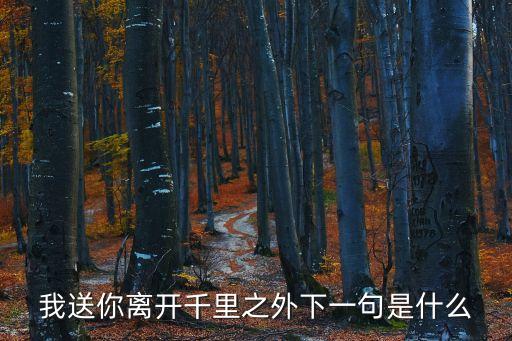我送你離開千里之外，我送你離開千里之外下一句是什么