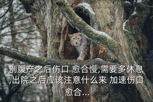 剖腹產之后傷口 愈合慢,需要多休息,出院之后應該注意什么來 加速傷口 愈合...