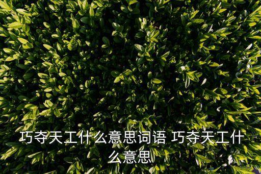 巧奪天工是什么意思