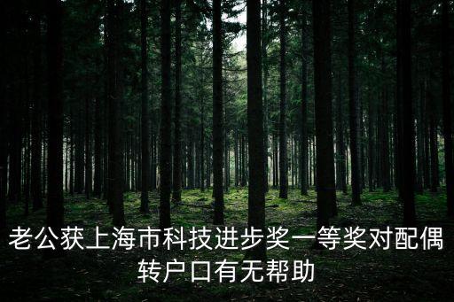 上海市技術(shù)發(fā)明獎(jiǎng)掛名有用嗎，老公獲上海市科技進(jìn)步獎(jiǎng)一等獎(jiǎng)對配偶轉(zhuǎn)戶口有無幫助