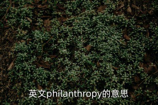 沙雕的英文，英文philanthropy的意思