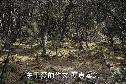 愛的作文400字，以愛為題目的作文