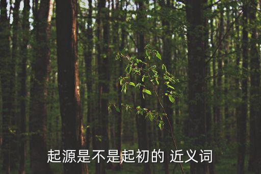 起源是不是起初的 近義詞