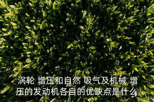  渦輪 增壓和自然 吸氣及機械 增壓的發動機各自的優缺點是什么