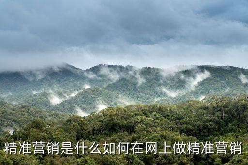精準營銷是什么如何在網上做精準營銷