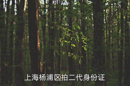 上海楊浦區(qū)拍二代身份證