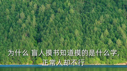 盲人圖片,先學(xué)盲文很難!我們無(wú)法通過(guò)重啟來(lái)關(guān)閉盲人模式
