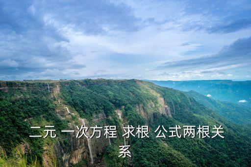  二元 一次方程 求根 公式兩根關系